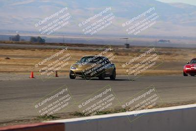 media/Nov-16-2024-CalClub SCCA (Sat) [[641f3b2761]]/Group 4/Grid and Front Straight/